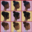 Regency Hairs - Part 2 - Buzzard logo