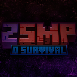 ZSMP Experience 