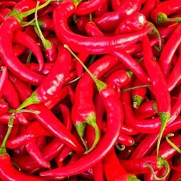 Abysmal Pepper Pack project image
