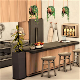 Miwi01 Kitchen