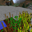 CropChance logo