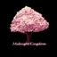Midnight Kingdom logo