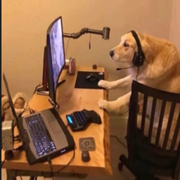 Gamer Dog's Gooncraft logo