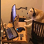 Gamer Dog's Gooncraft logo