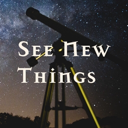 See New Things logo