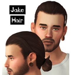 Jake Hair For Men