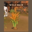 Harvestable Wild Rice logo