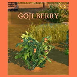 Harvestable Gojiberry