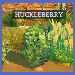 Harvestable Huckleberry