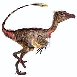 Dino Funtime logo