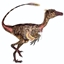 Dino Funtime logo