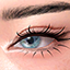 [Learxfl] Everest Eye Contacts logo