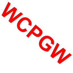 What could possibly go wrong? logo