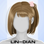 LIN-DIAN_Day-Hair Set logo