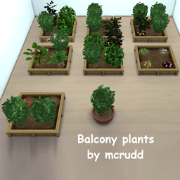 Balcony plants