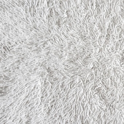 Fluffy Carpet logo