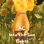 AC-Into the Sun Tights logo