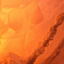 a biome's verisimilitude logo