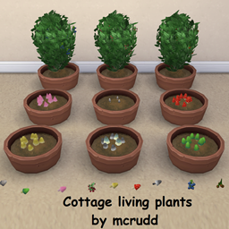 Cottage living plants
