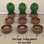 Cottage living plants logo