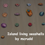Island living seashells collection