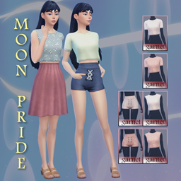Moon Pride - Vol. 10 logo