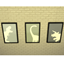 Dinosaur Wall Prints logo