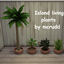 Island living plants