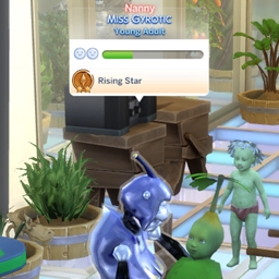 NPC Nanny Career