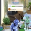 NPC Nanny Career