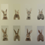 Bunny Posters logo