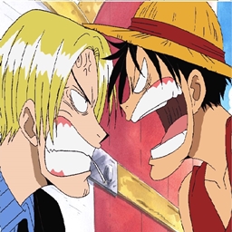 One Piece Experience