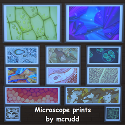 Microscope prints collection