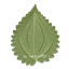 HQ Fluffy Leaf Dance Rug #5 Samtuse963 logo
