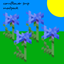 cornflower smp modpack logo