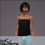 Sandra Top logo