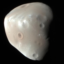 Deimoss (Yum) project image