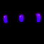 ultimate wither storm survival logo