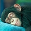 Sleepy Monkeys logo