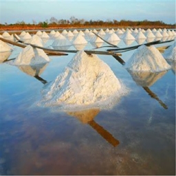 NaCl World logo