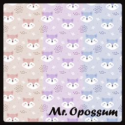 Mr.Opossum one kid wall