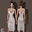 Front Zipper Sheer Dress logo