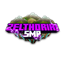 Zsmp blocks logo