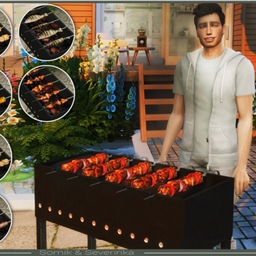 Functional mangal (BBQ) and 10 recipes on skewers by Somik_Severinka Spanish translation