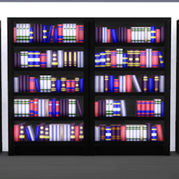 Black Dual Towering Bookcase project image