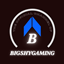 BSG's Endless Adventure logo