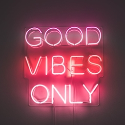 Verified Vibes logo