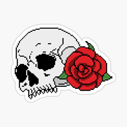 Piratas rosea