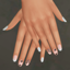Spider Nails logo