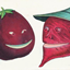 The Beetroot Brothers Buckwild Bout logo